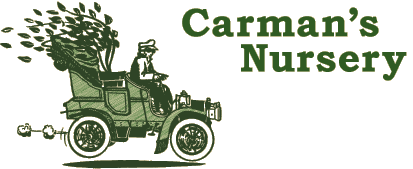 Carman's Nursery